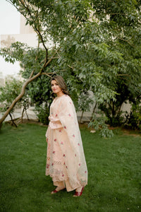 Florin 3-Piece Peach Cotton with Embroidered Organza Dupatta